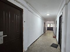 Piata Delfinului, Chisinau, Dobrina